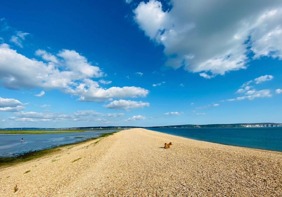 Little Woodside A Beautiful New Forest Self Contained Private Luxury Annexe New Milton Luaran gambar