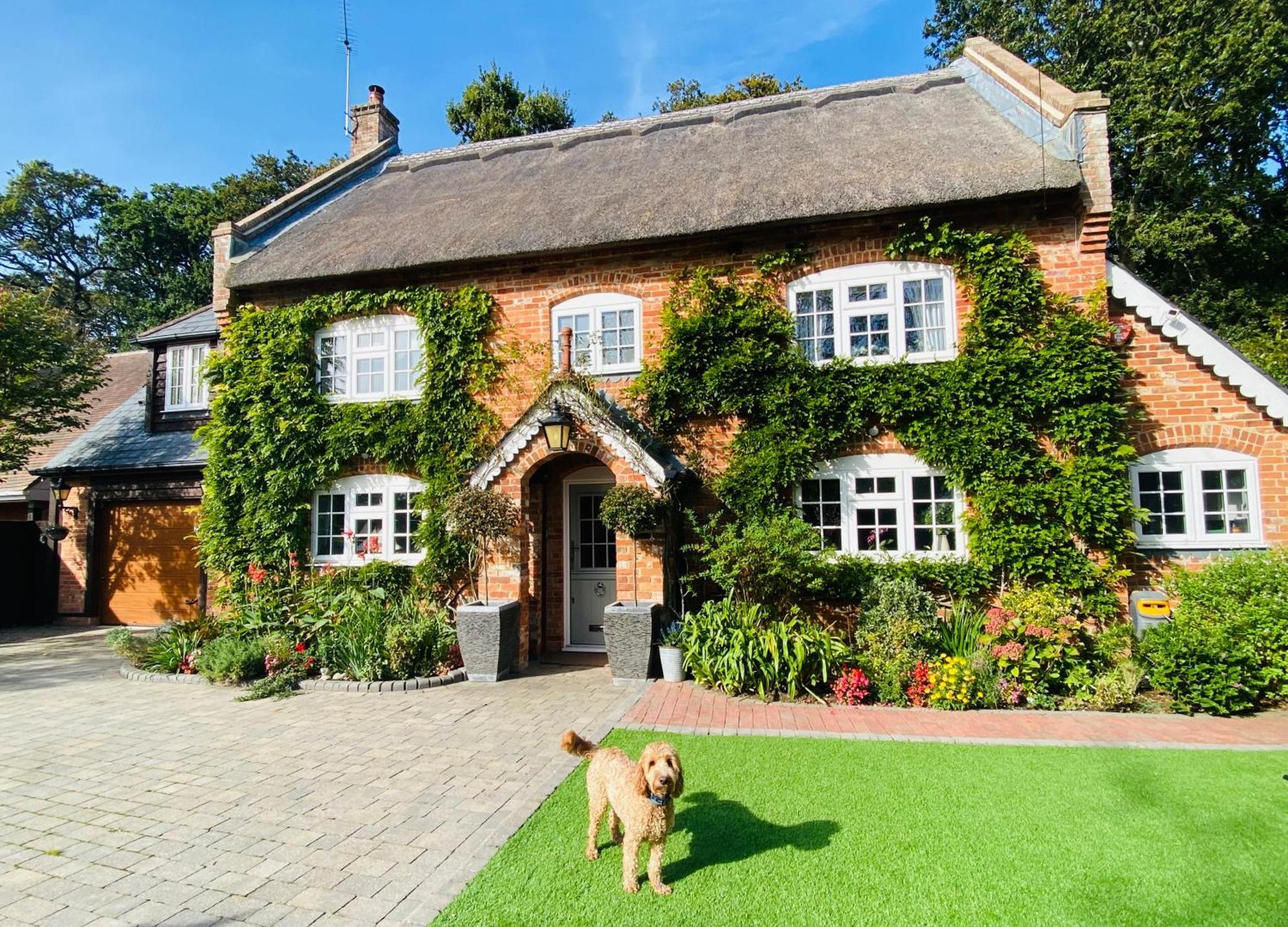 Little Woodside A Beautiful New Forest Self Contained Private Luxury Annexe New Milton Luaran gambar
