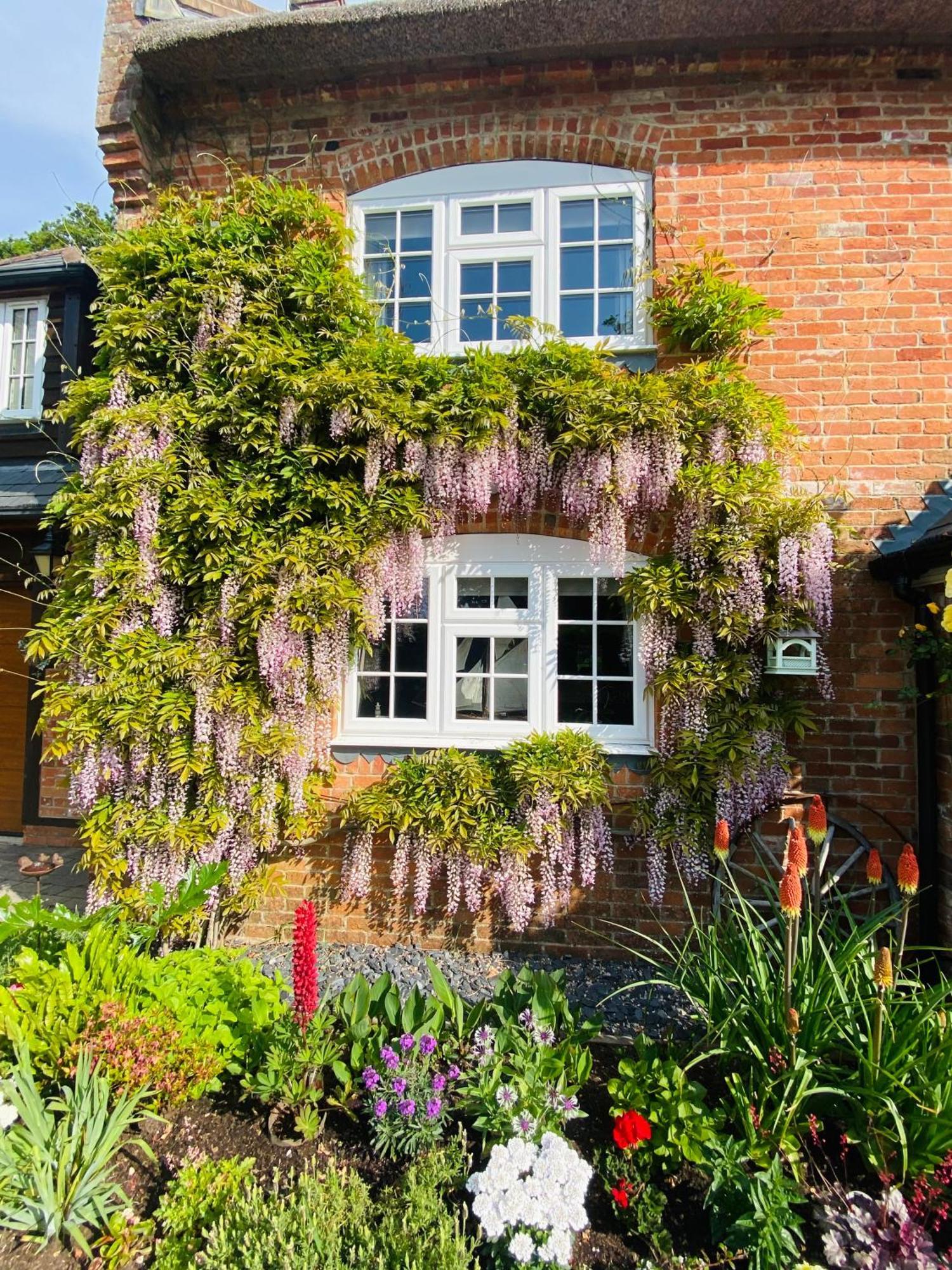 Little Woodside A Beautiful New Forest Self Contained Private Luxury Annexe New Milton Luaran gambar