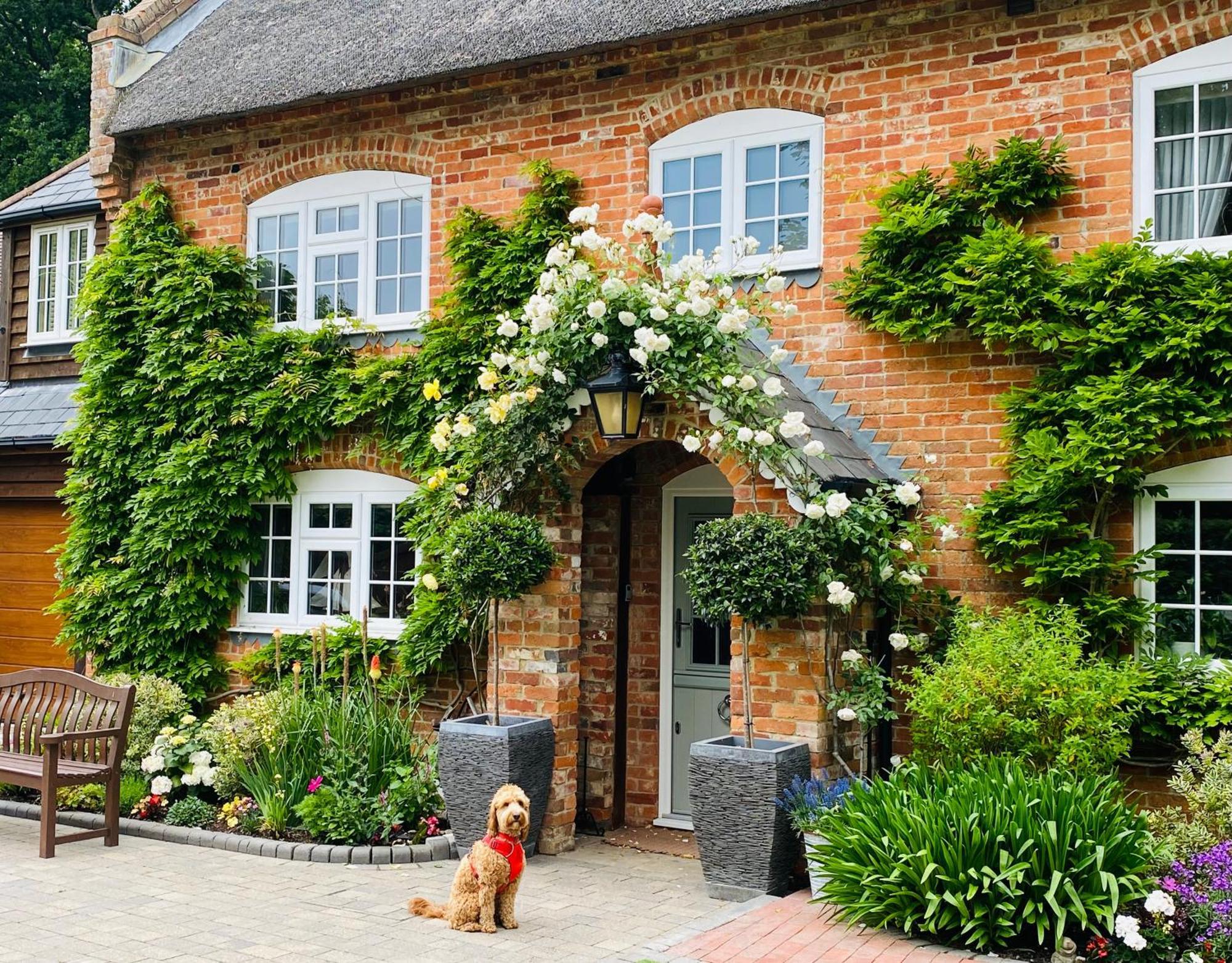 Little Woodside A Beautiful New Forest Self Contained Private Luxury Annexe New Milton Luaran gambar