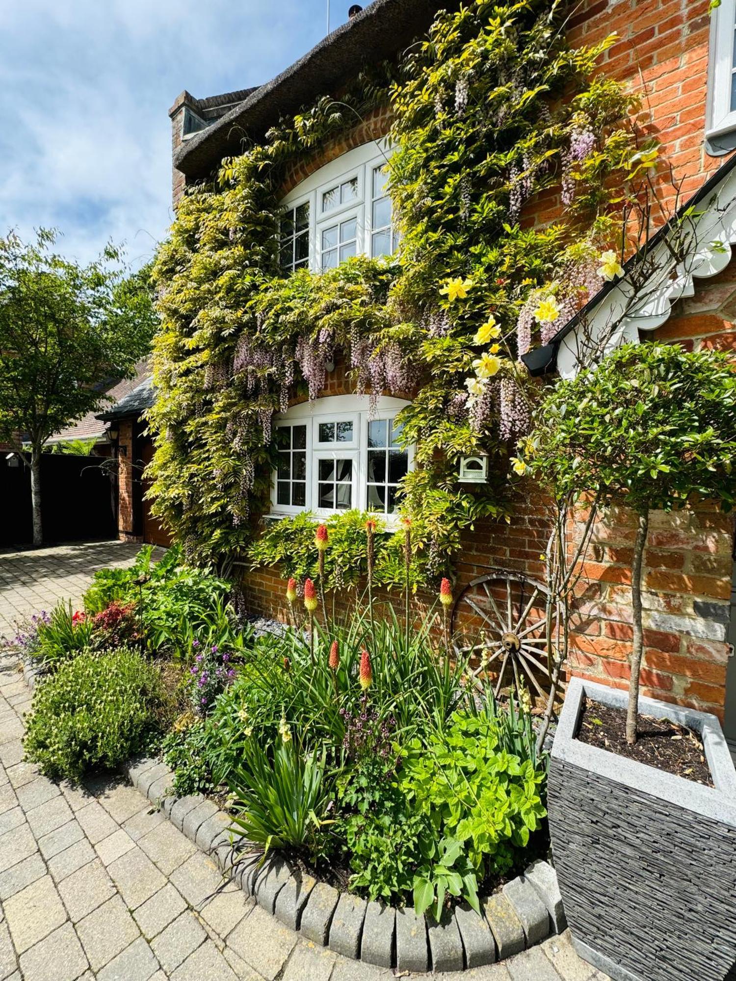 Little Woodside A Beautiful New Forest Self Contained Private Luxury Annexe New Milton Luaran gambar